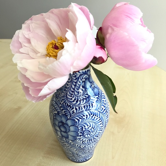 Meet your Posher, Dr. C - Picture 1 of 3